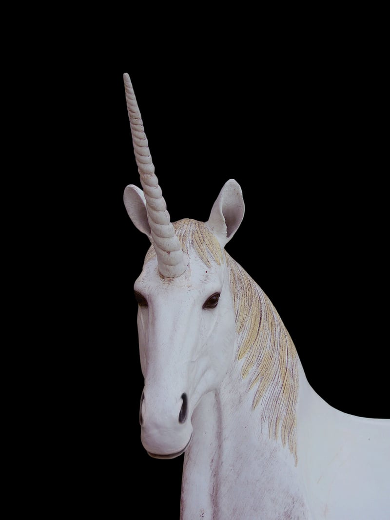 Unicorn Image 2